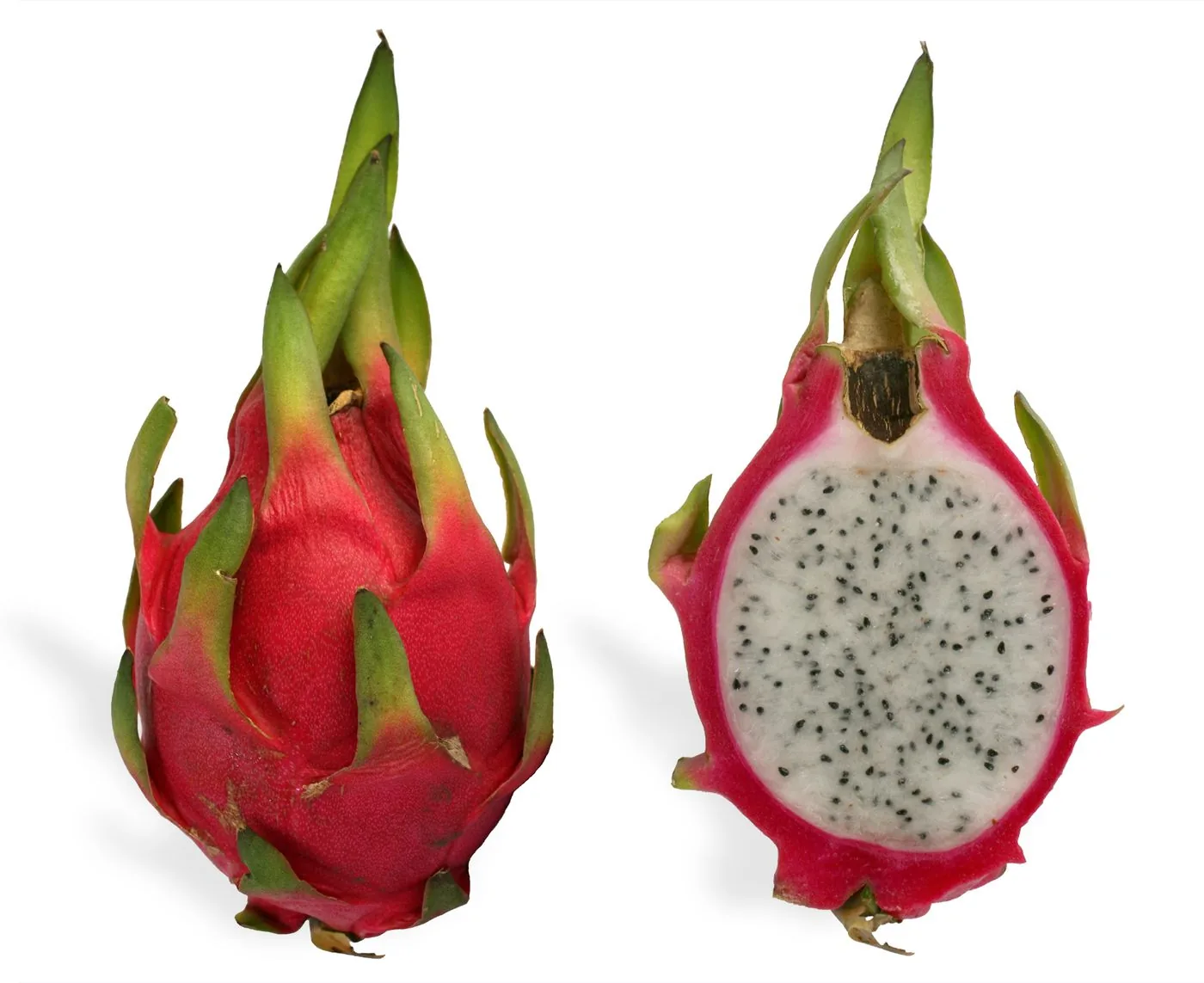 White-flesh dragon fruit, cut to grade