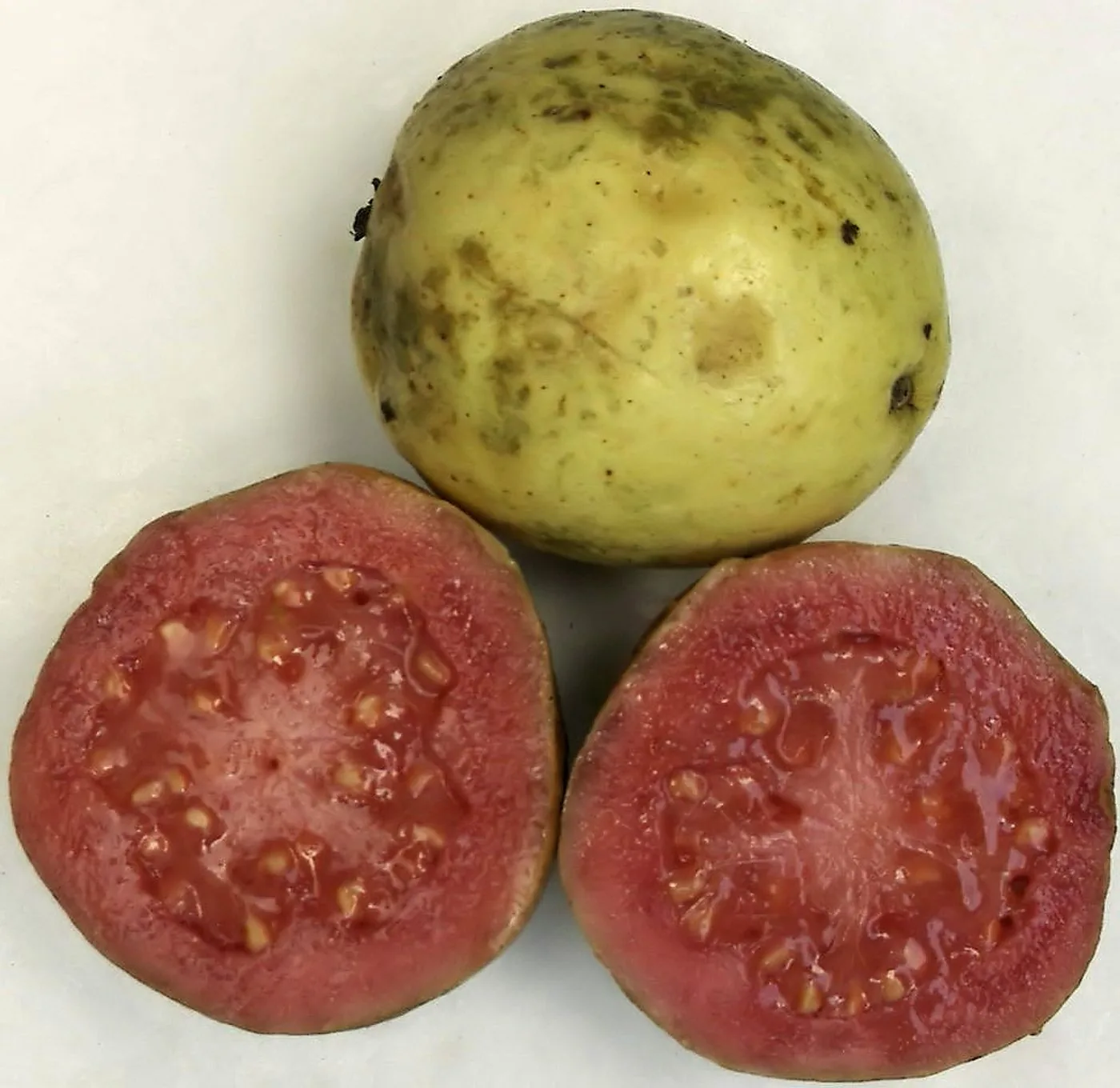 Pink-flesh guava, halved